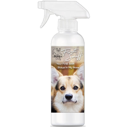 First Sniff Dog Cologne - Your First Sniff Stays on My Mind