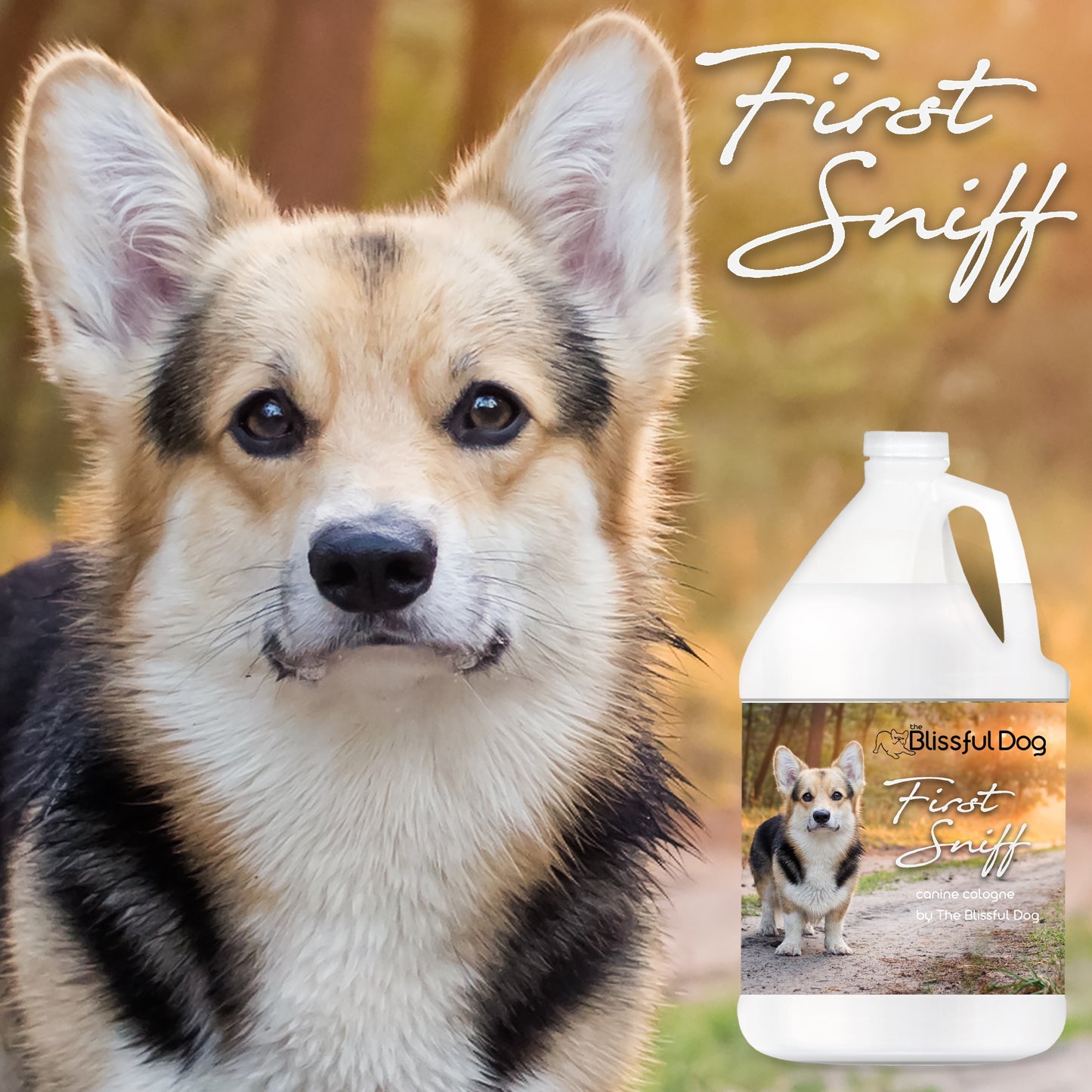 First Sniff Dog Cologne - Your First Sniff Stays on My Mind