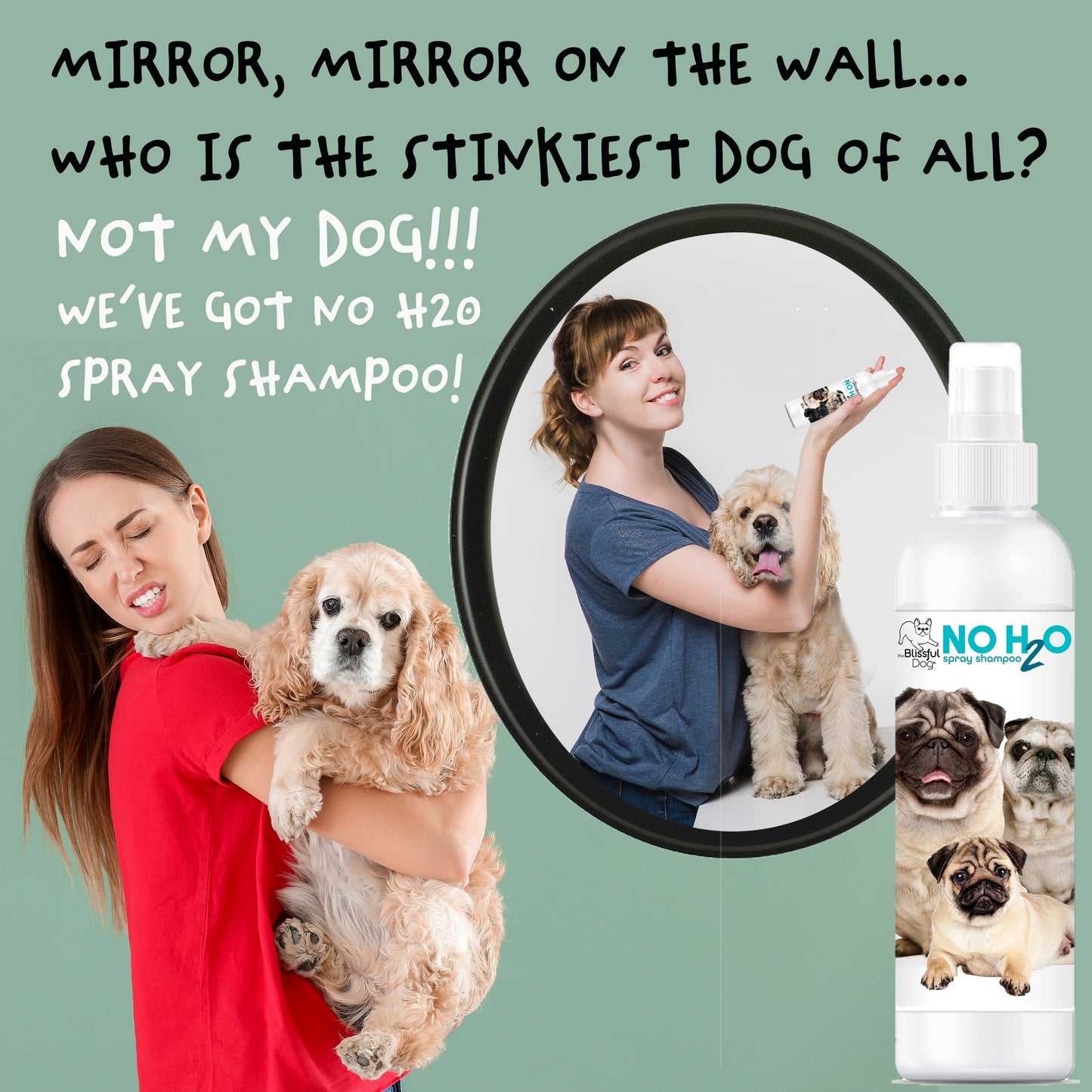 No H20 Spray Pet Shampoo