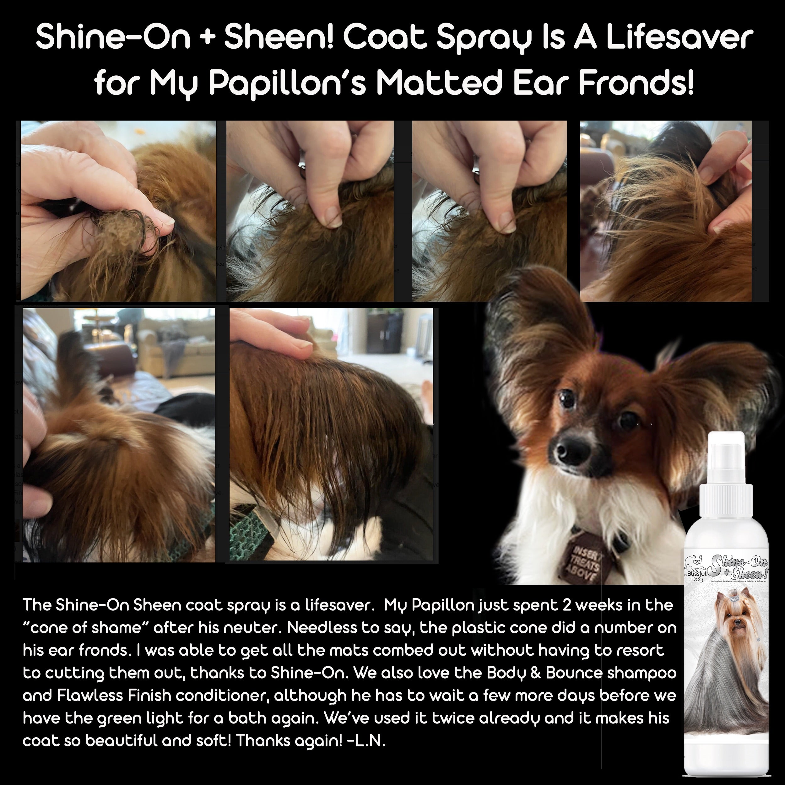 The Blissful Dog Spray Conditioner Leave in De Tangling Dematt Shine The Blissful Pets