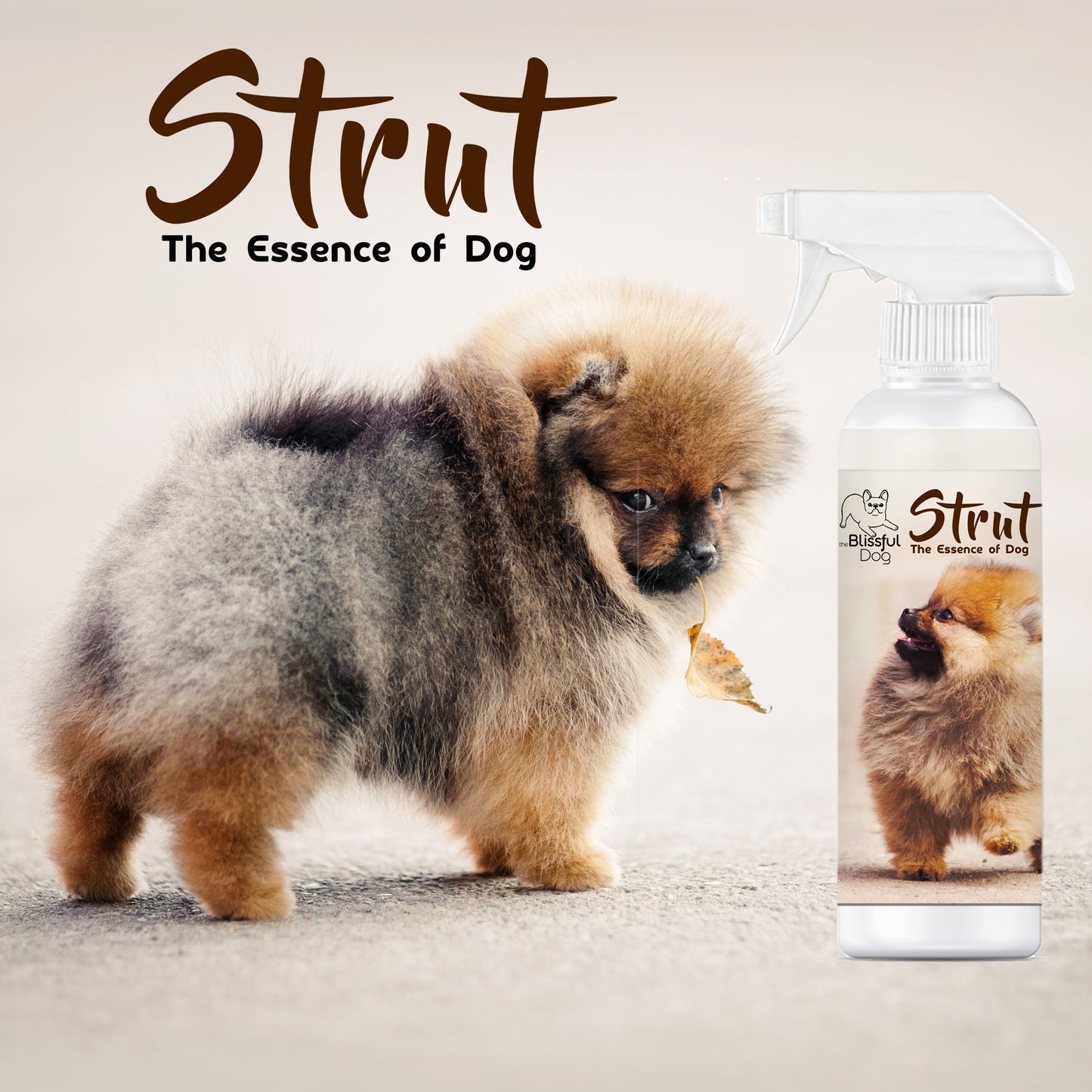 Strut Dog Cologne for the Ruler of the Kingdom