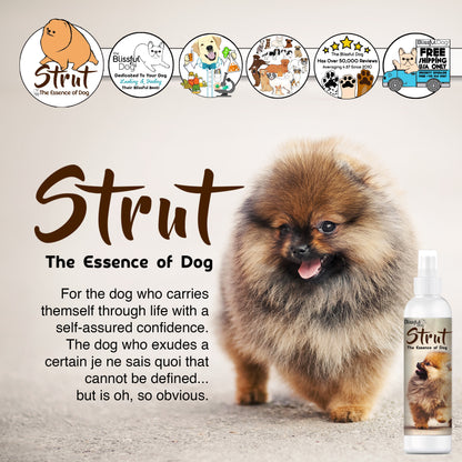 Strut Dog Cologne for the Ruler of the Kingdom