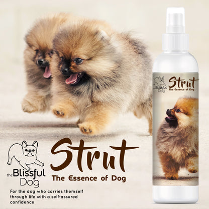 Strut Dog Cologne for the Ruler of the Kingdom