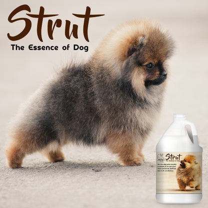 Strut Dog Cologne for the Ruler of the Kingdom