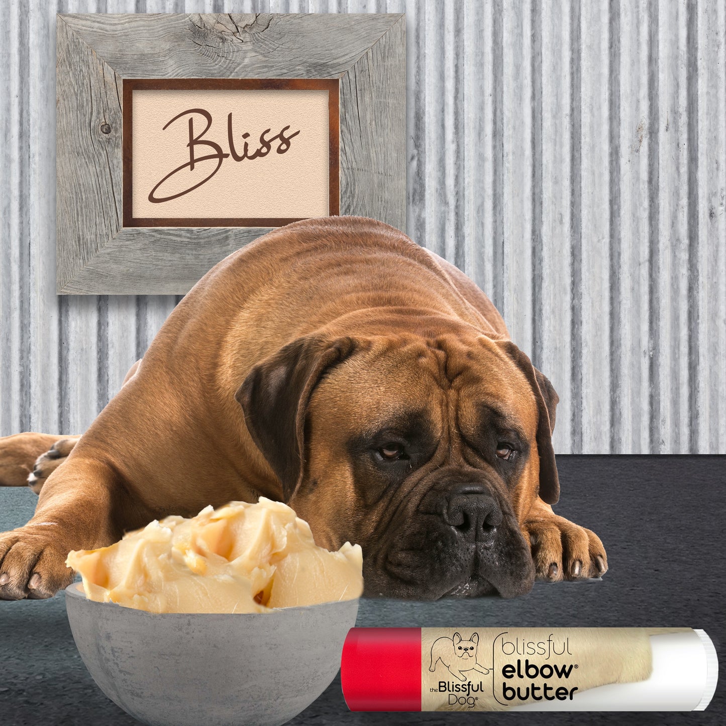 Blissful Elbow® Butter Conditions Your Dog's Elbow Calluses