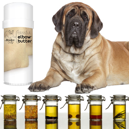 Blissful Elbow® Butter Conditions Your Dog's Elbow Calluses