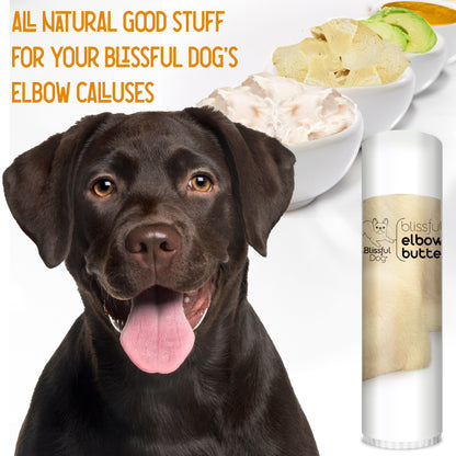 Blissful Elbow® Butter Conditions Your Dog's Elbow Calluses