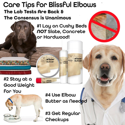 dog elbow callus