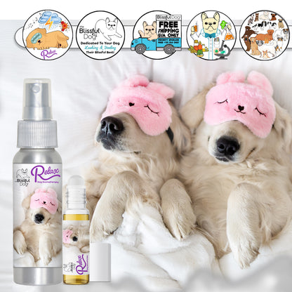 Relax Dog Aromatherapy