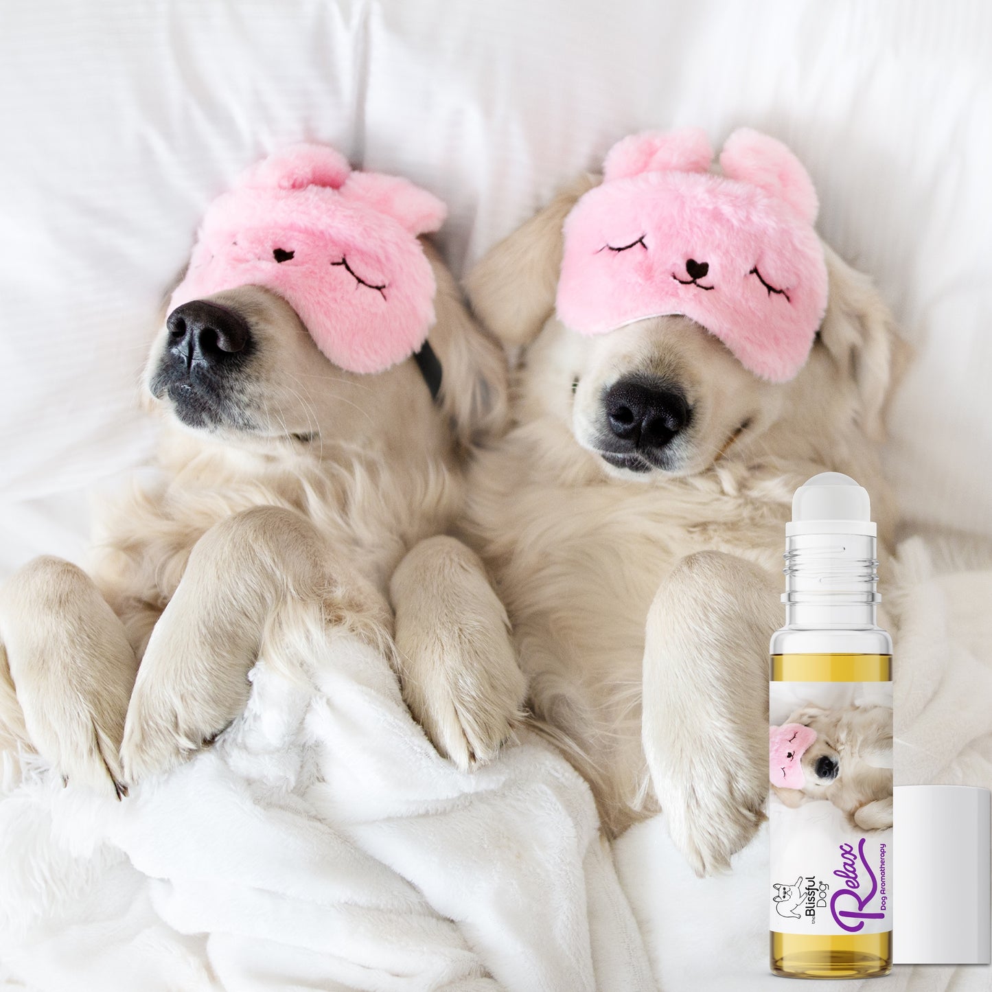 Relax Dog Aromatherapy