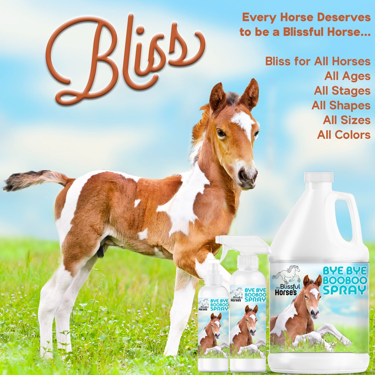 Bye Bye Boo Boo® Spray For Your Horses Skin Irritations