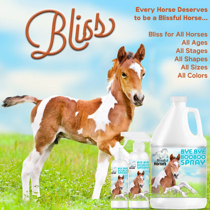 Bye Bye Boo Boo® Spray For Your Horses Skin Irritations