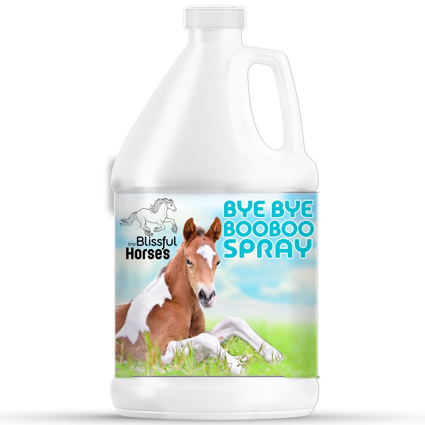 Bye Bye Boo Boo® Spray For Your Horses Skin Irritations