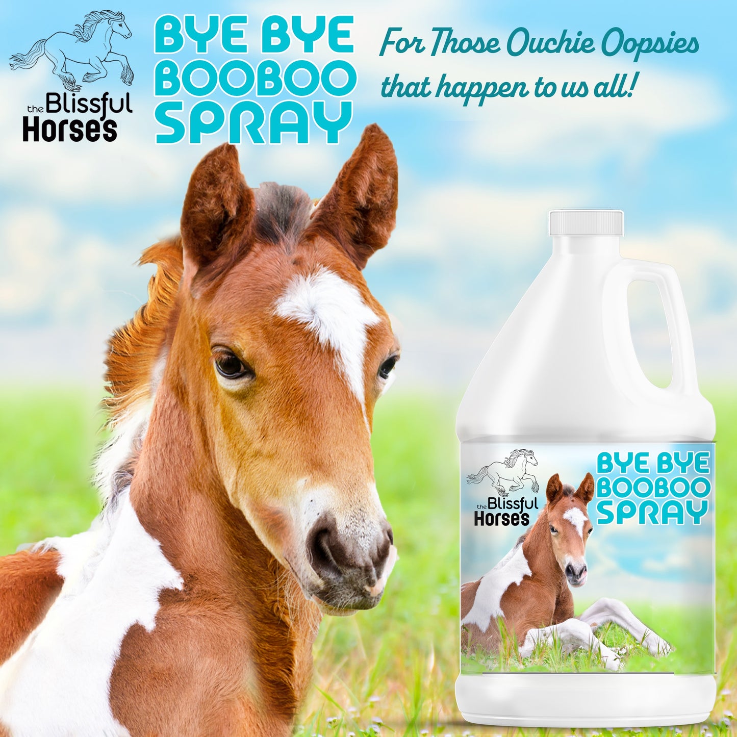 Bye Bye Boo Boo® Spray For Your Horses Skin Irritations