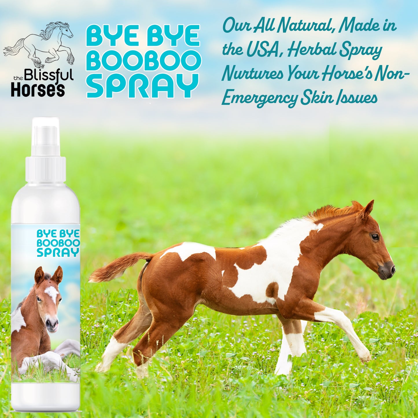 Bye Bye Boo Boo® Spray For Your Horses Skin Irritations