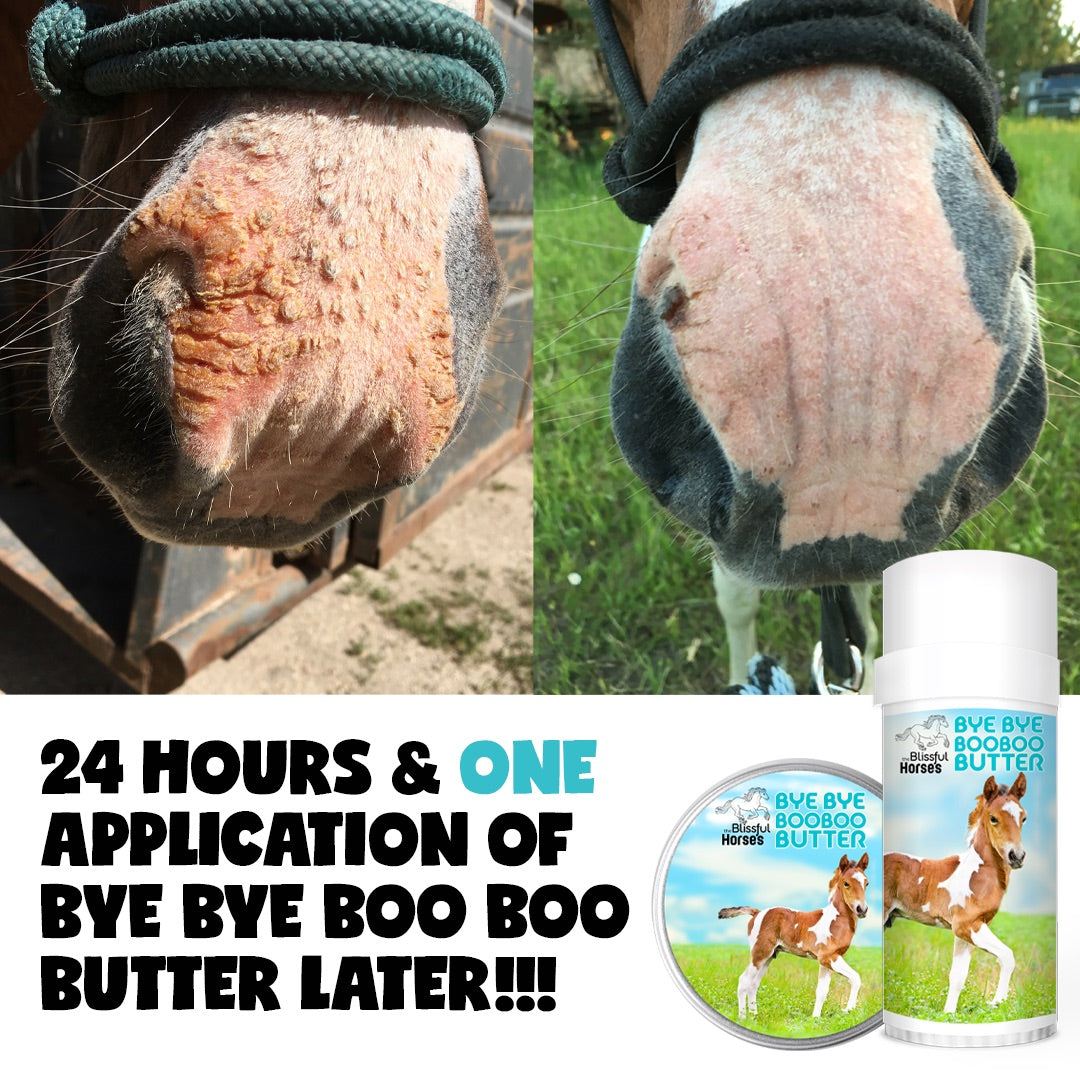 Bye Bye Boo Boo® Butter Skin Care for Your Horse