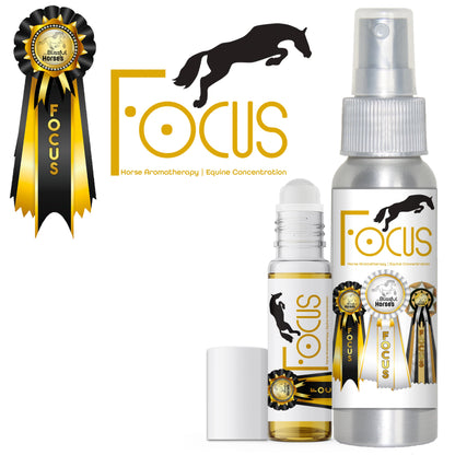 Focus Horse Aromatherapy