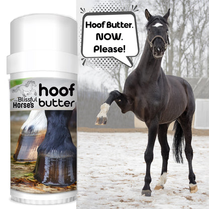 horse hoof health