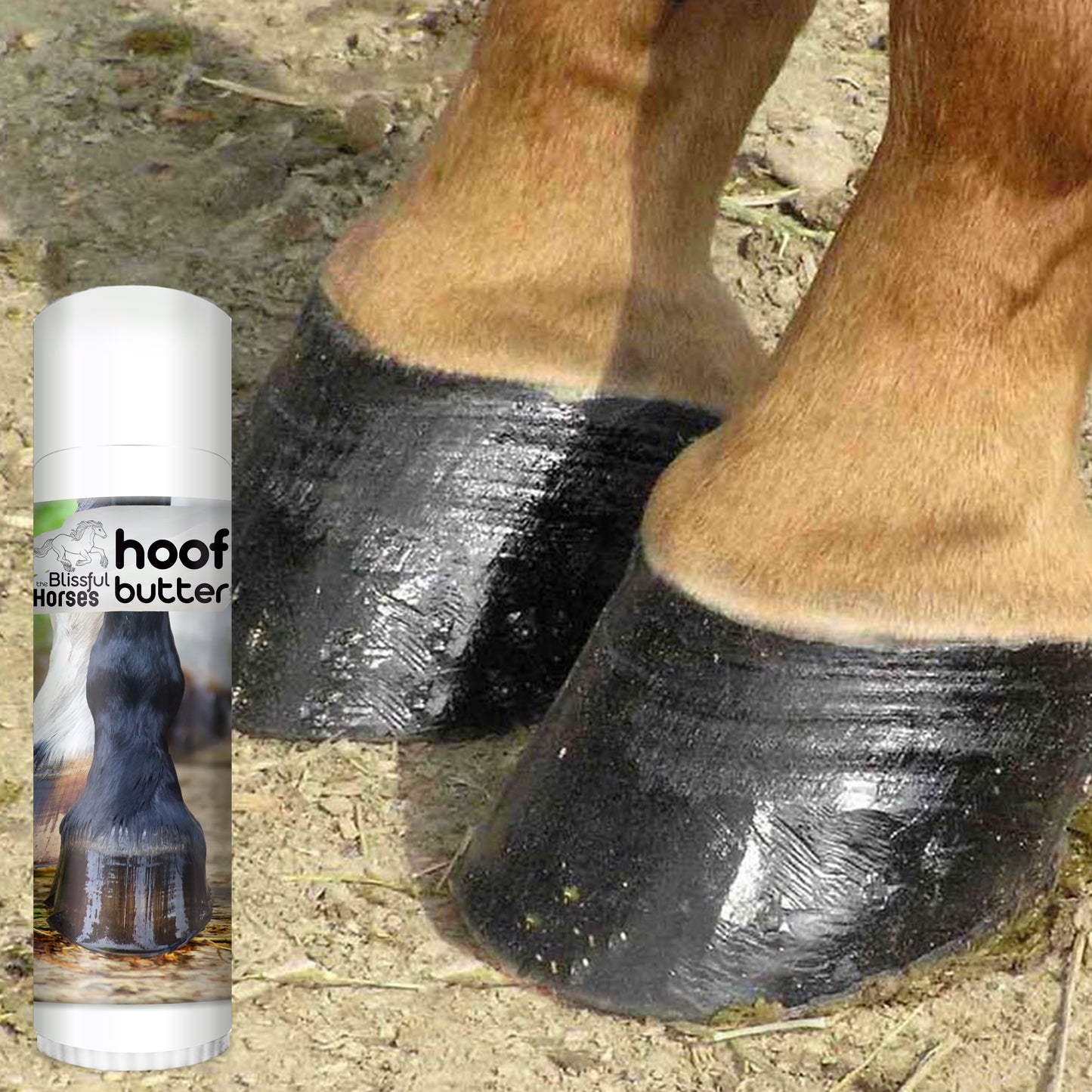 using hoof butter