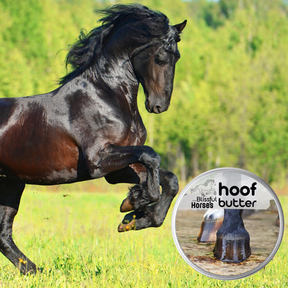 Hoof Butter Moisturizer for Horse Hooves