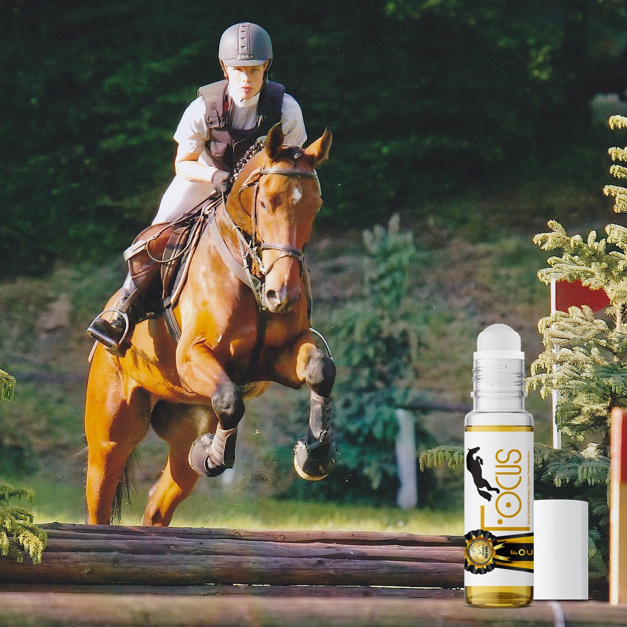 Focus Horse Aromatherapy