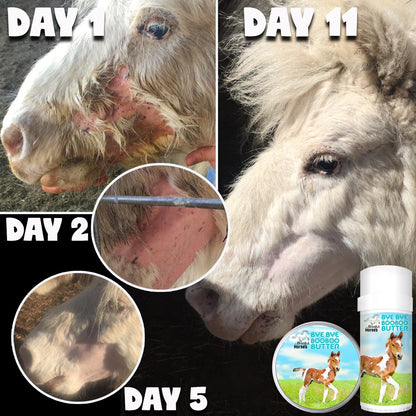 Bye Bye Boo Boo® Butter Skin Care for Your Horse