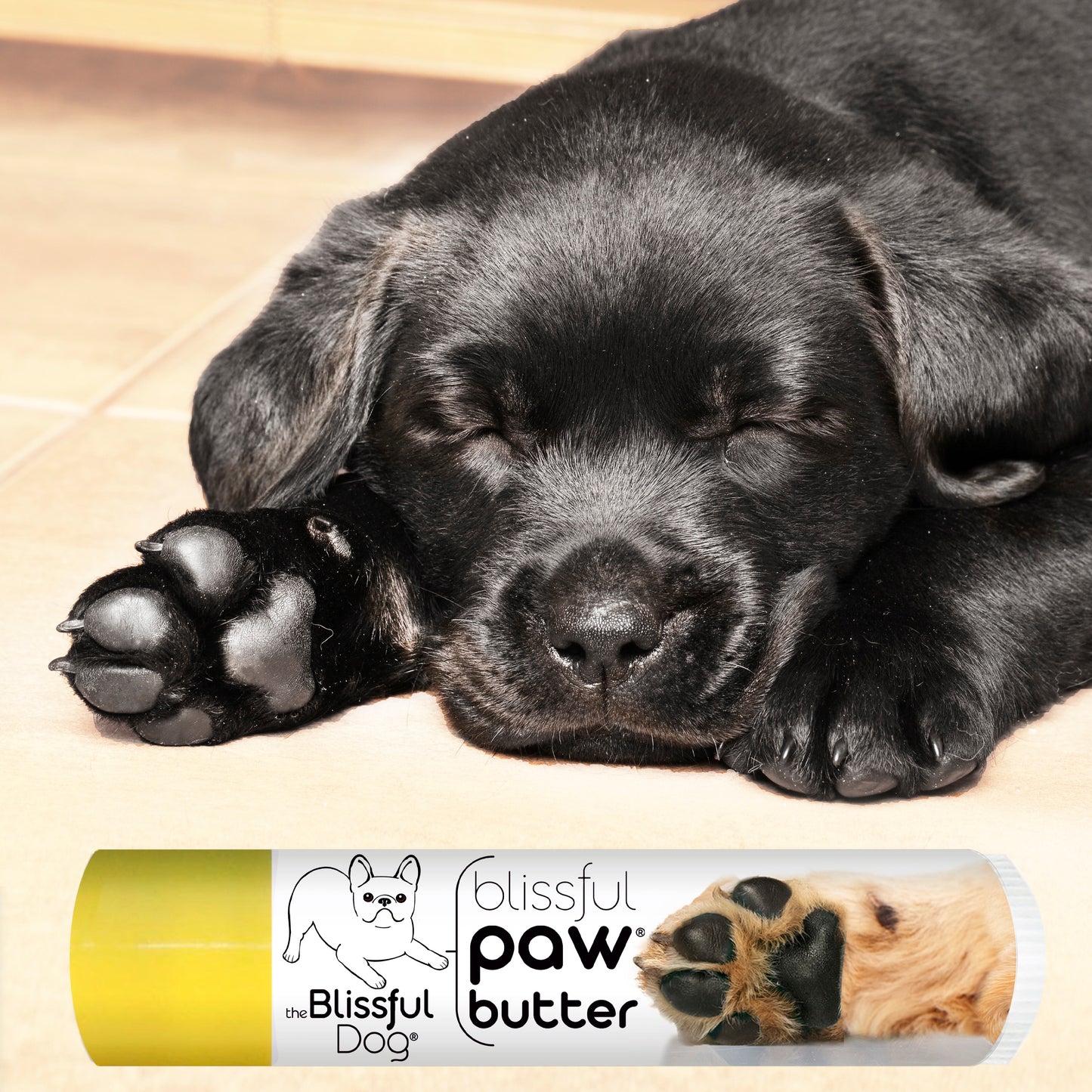 Blissful Paw® Butter Moisturizes Rough, Dry Paw Pads