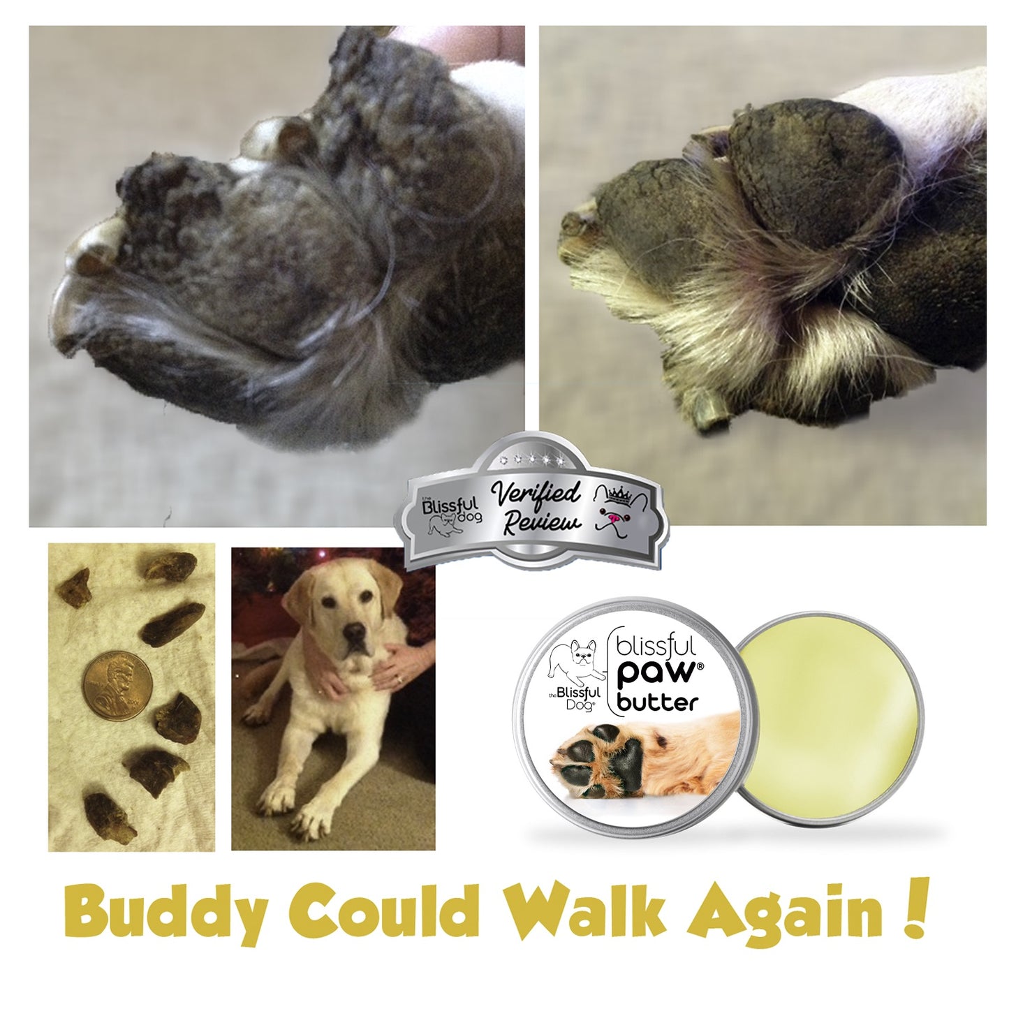 Blissful Paw® Butter Moisturizes Rough, Dry Paw Pads