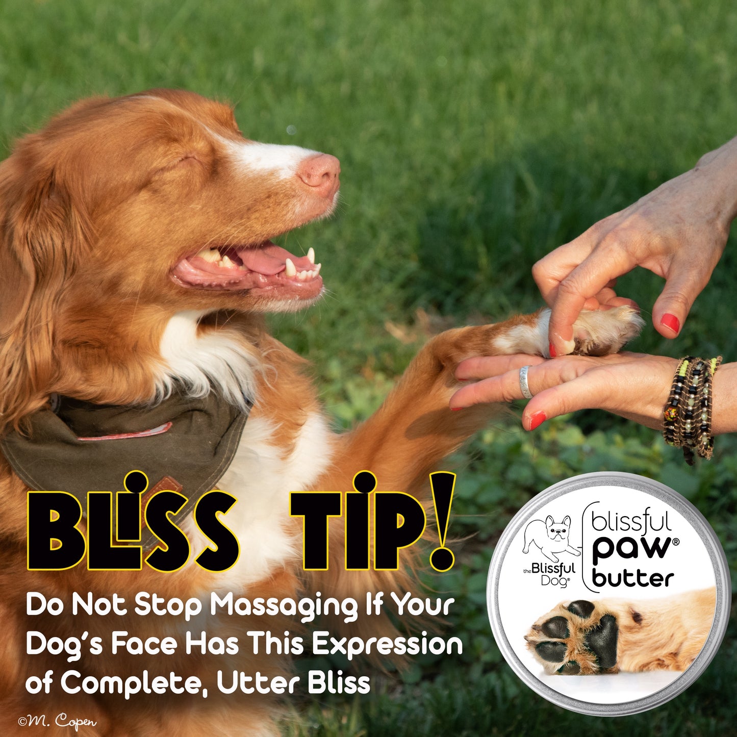 Blissful Paw® Butter Moisturizes Rough, Dry Paw Pads