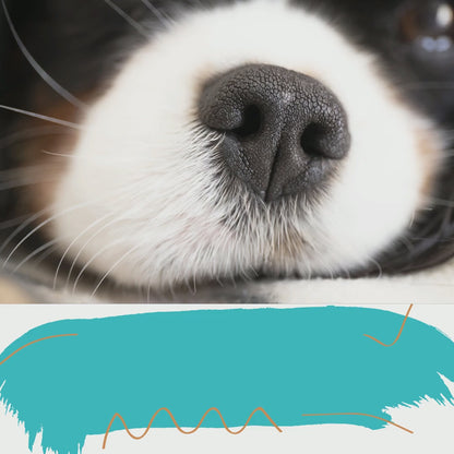 Blissful Nose Butter – Moisturizing Balm for Dry Dog Noses